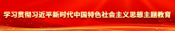 骚逼屄学习贯彻习近平新时代中国特色社会主义思想主题教育